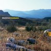 Panorama / Braintax