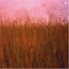 Everything Under The Sun / Nostalgia 77