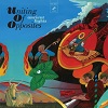 Ancient Lights / Uniting Of Opposites